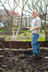 man cultivates raspberry seedlings