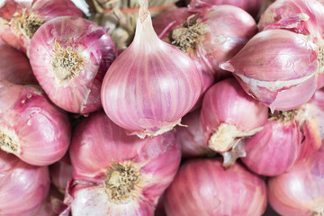 Pile of Red Onions