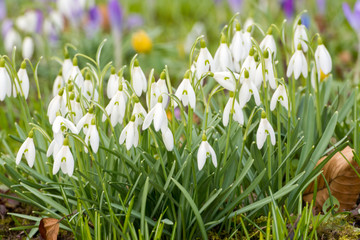 Frühling lässt grüßen