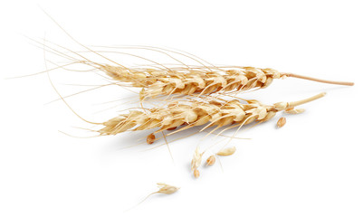 Ears of wheat