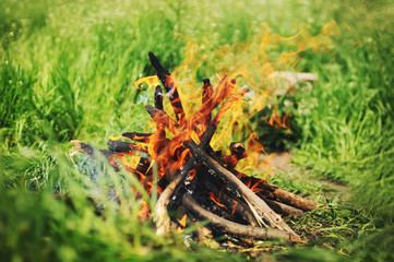 Cozy bonfire among green grass