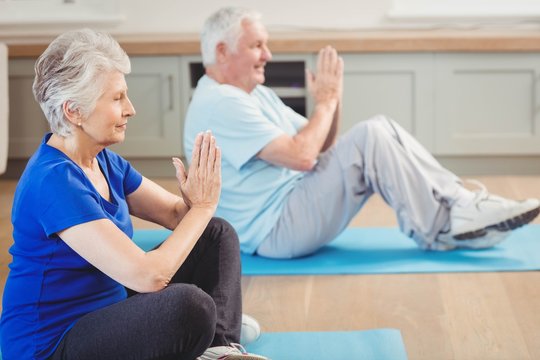 Senior couple performing yoga exercise