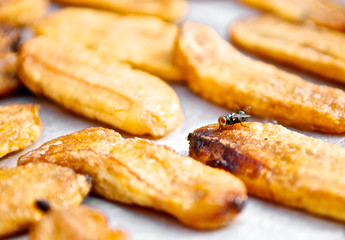 Fly swarm around fry food exposed to sunlight. Files disease risk. Close up and macro.