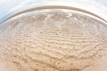 Ghost crab hole on the beach