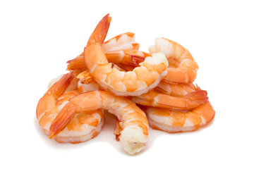 Shrimps isolated on white background concept