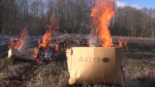 Cardboard boxes with organic rubbish burning in the field on sunny day in early spring