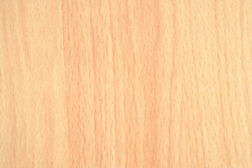 Wood texture background 