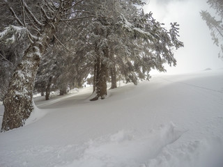 Snowfall Orobie Alps