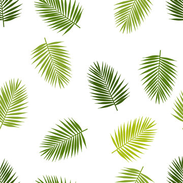 Palm leaf silhouettes seamless pattern. Tropical leaves. Vector illustration