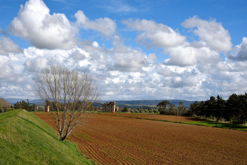 panorama di campagna con terreno coltivato e nuvole