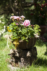 Naklejka premium Blumen im Korb im Garten