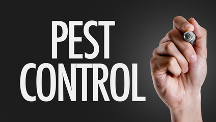 Hand writing the text: Pest Control