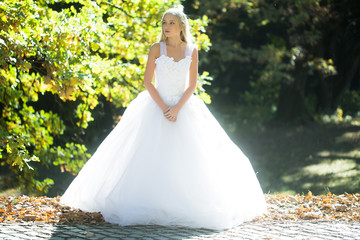 Fototapeta premium Bride in beautiful dress outdoor