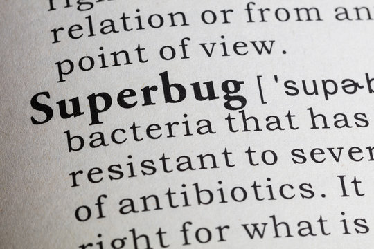 definition of superbug