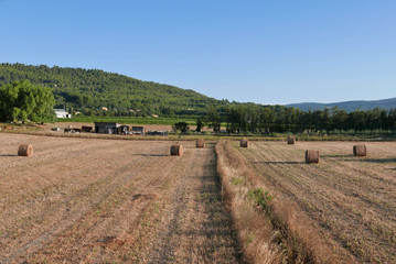luberon