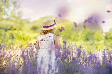 Little girl in a lavender field