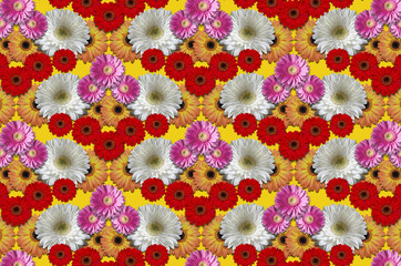 Abstract mottled yellow background&nbsp;with colored flowers large daisies
