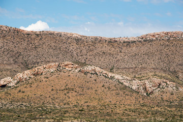 Los Caballos