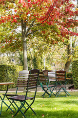 Coffee tables and chairs under a tree with red leaves in autumn park.