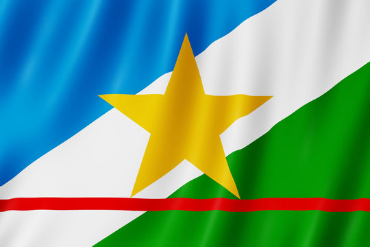 Flag of Roraima state in Brazil