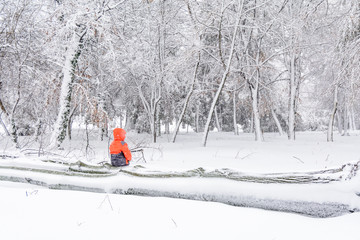 Child and broke down tree of snow. Horizontal view of child sitt