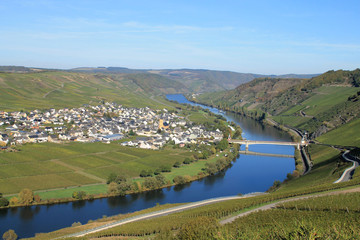 Naklejka premium Trittenheim an der Mosel
