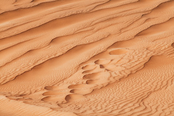 Fototapeta na wymiar Close up of the sand dunes of the Arabian desert, close to Dubai in the United Arab Emirates. Soft vintage editing. Picture taken on a desert safari.