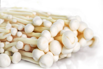 Enoki mushroom / Enoki mushroom on white background.