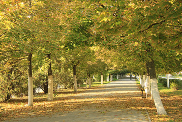 Autumn alley in a small Russian town