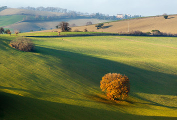 Dolci colline italiane