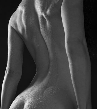Fine Art Nude of Woman's Wet Back and Bottom