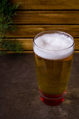 Glass full of beer and green branch on light brown background 