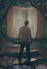 Open Bible in forest