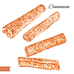 Cinnamon graphic illustration isolated on white background. Hand drawn sketch. Design food elements. Series of food and ingredients for cooking.