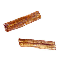 Cinnamon watercolor illustration isolated on white background. Hand drawn sketch. Design food elements. Series of food and ingredients for cooking.