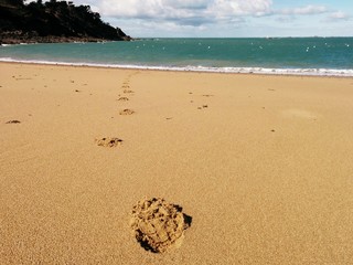 Mon emprunte sur le sable