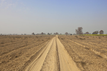 dusty abohar landscape