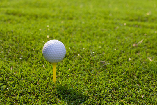 Golf ball in tee on grass green