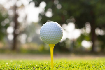 Golf ball on tee in grass