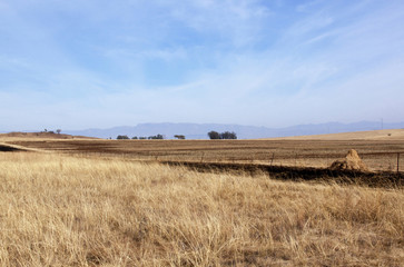 Fenced Field of Dry Grass in South African Winter Landscape