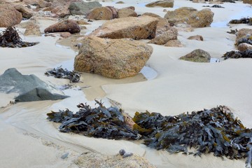 Des rochers découverts sur le sable à marée basse
