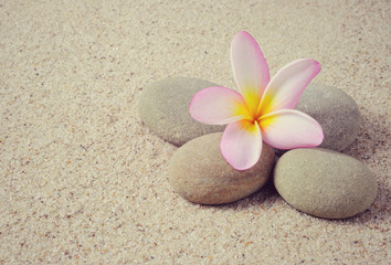 Fototapeta na wymiar Zen stones and Frangipani or plumeria flower with sand background. Photo was added with vintage retro filter, copy space available