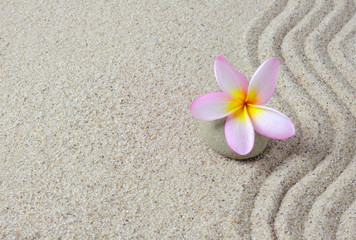 Fototapeta na wymiar Sand and frangipani flower on a zen stone with copy space.