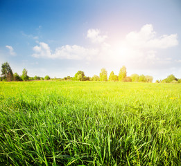 green field and beautiful sunset © Alexander Ozerov