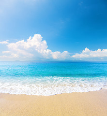 beach and tropical sea