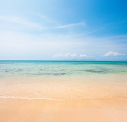 beach and tropical sea
