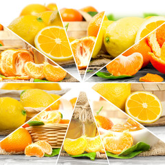 Fototapeta na wymiar Citrus Mix Slices