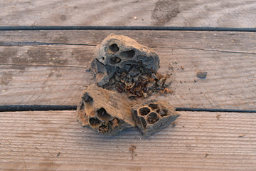 Break a hornet's nest of clay.