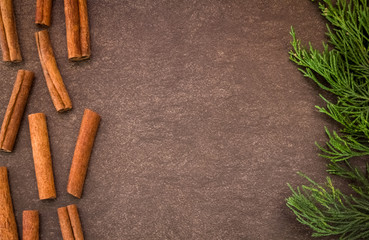 Cinnamon sticks and green branch on light brown background 