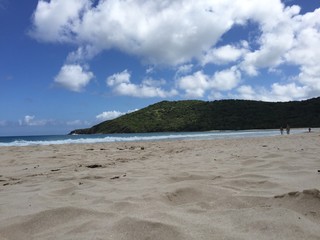 Fototapeta na wymiar sandy caribbean beach